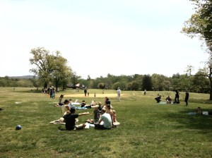 Kite Day Photo