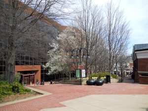 Downtown Mall - View from Omni