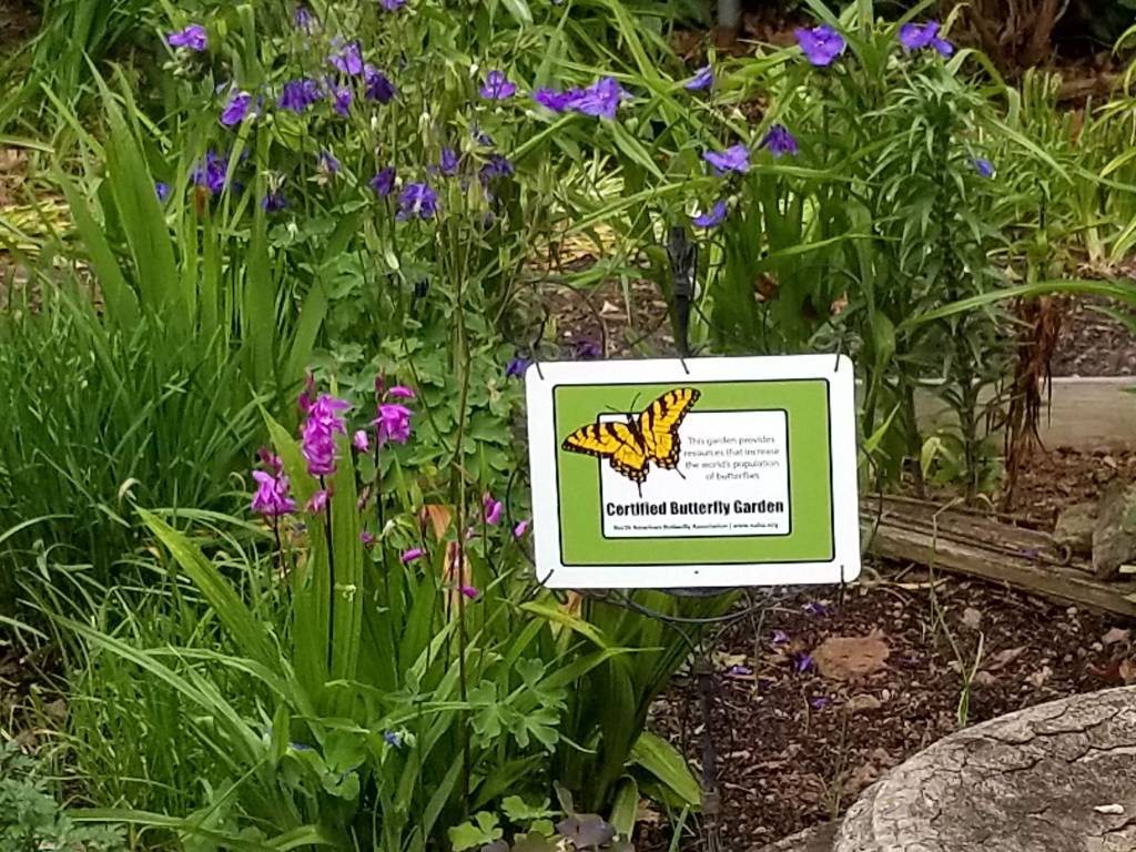 Butterfly Garden